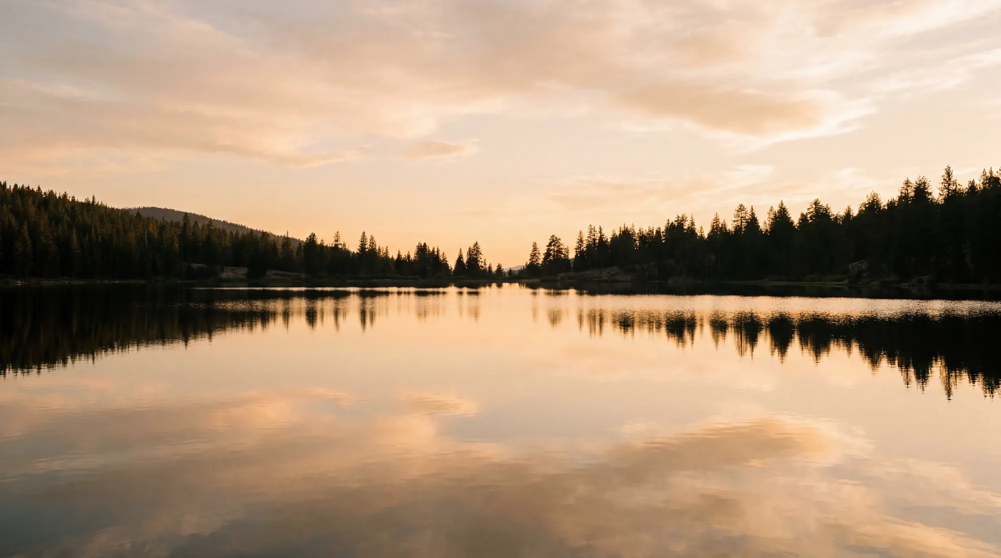 Glenrose Wealth · photo